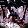 starship_troopers_large_06.jpg