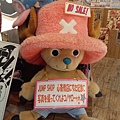 DCIM0025.JPG
