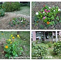 中庭花園植栽美化-5