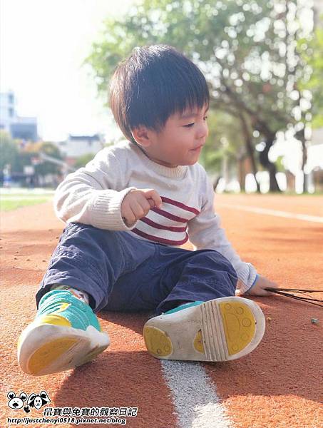 鼠寶與兔寶的觀察日記