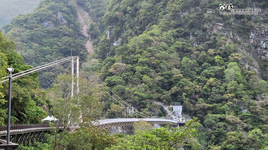 鼠寶與兔寶的觀察日記,小諭兒,小勳勳,勳仔