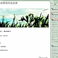 20080606_網誌人氣155.PNG