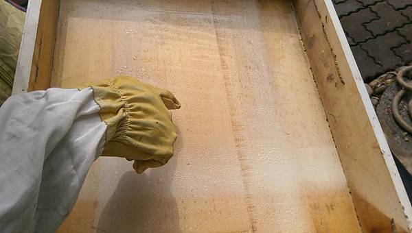 CGM主希望光教會我凝結水珠.jpg CGM主希望光教會我凝結水珠.jpg