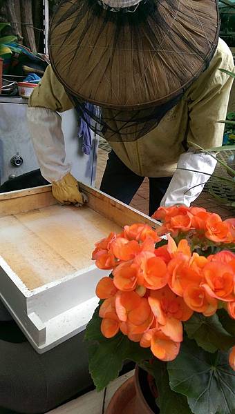 CGM主希望光教會我擦拭.jpg CGM主希望光教會我擦拭.jpg