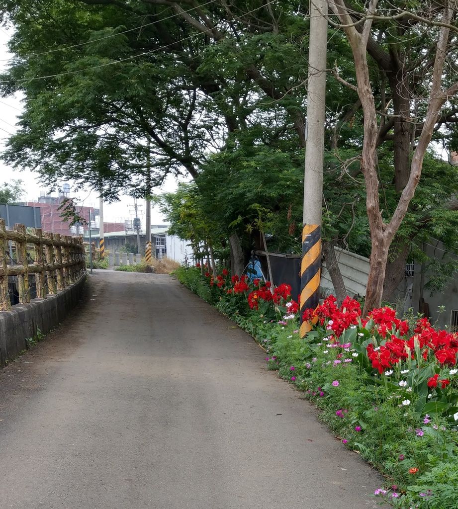 主希望光教會_單車之旅 主希望光教會_單車之旅