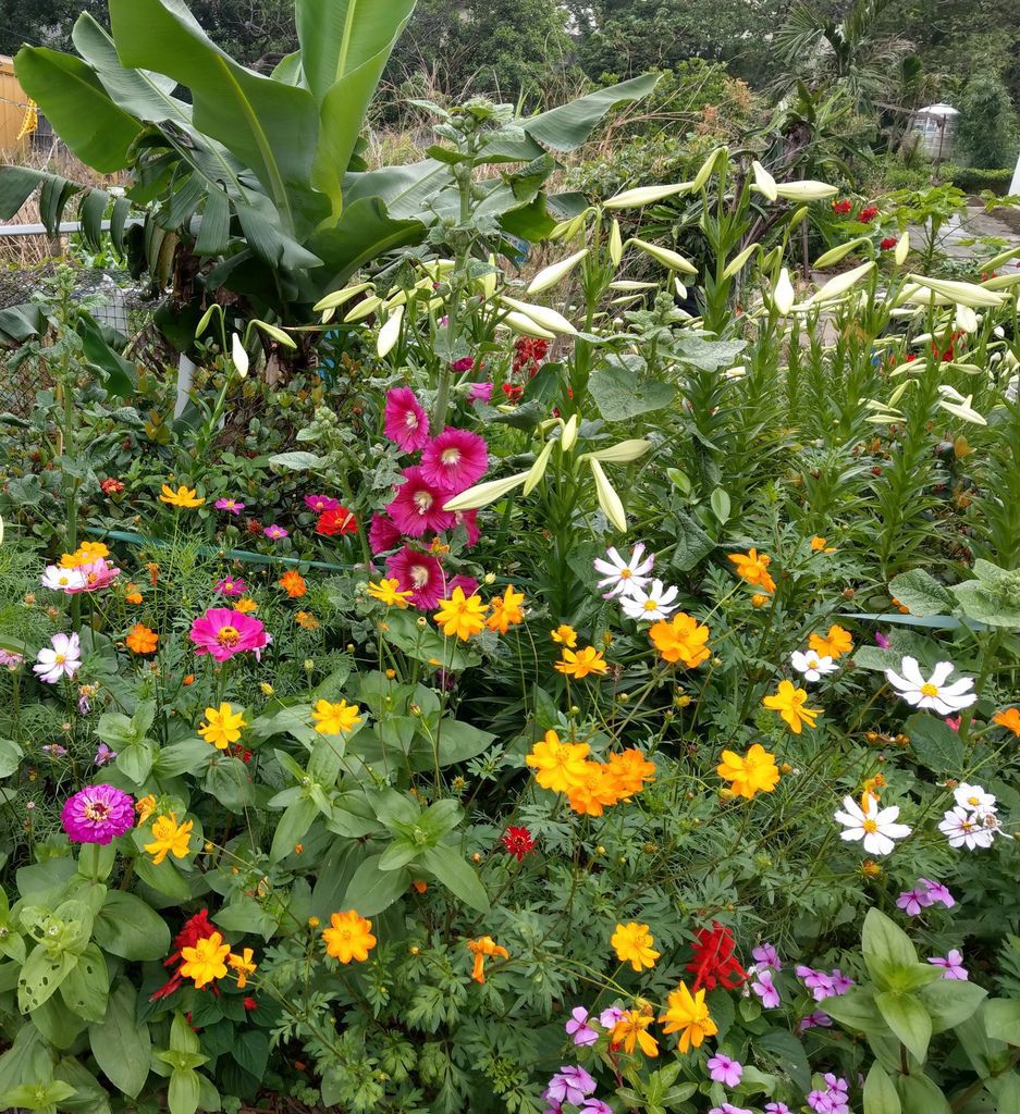 主希望光教會_單車之旅_花花慶典 主希望光教會_單車之旅_花花慶典