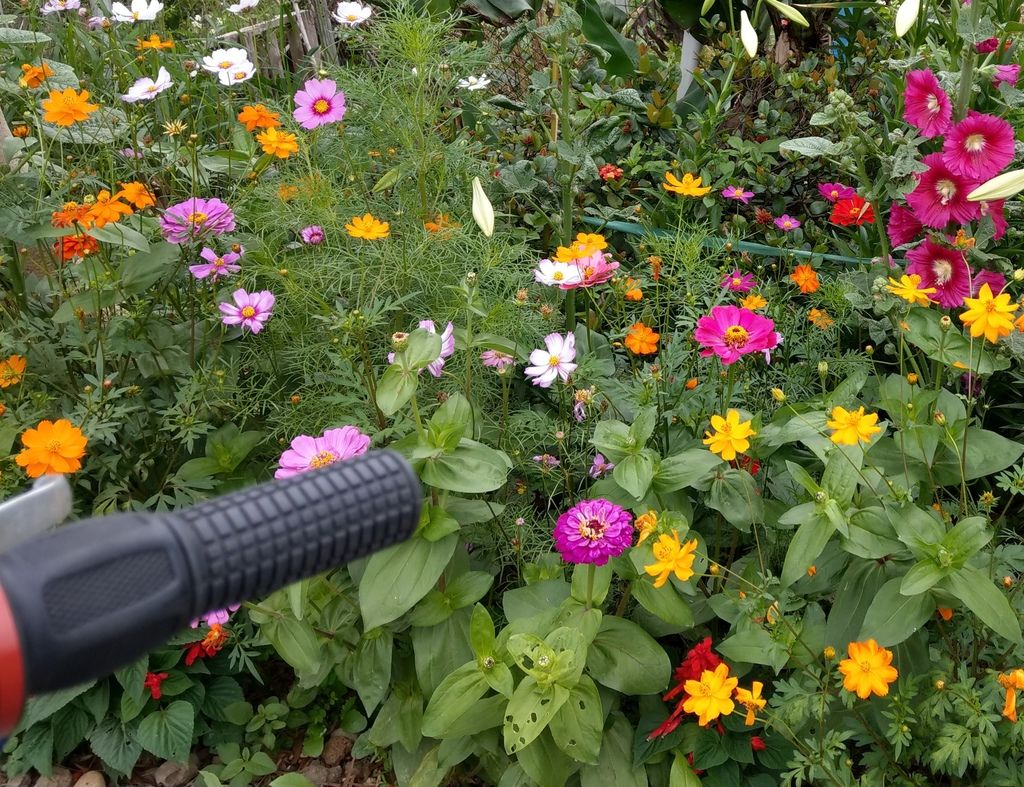 主希望光教會_單車之旅_百花慶典 主希望光教會_單車之旅_百花慶典