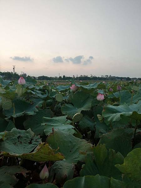 IMAG4027.jpg IMAG4027.jpg