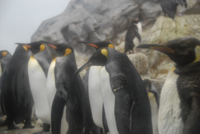 北海道 不可思議的藍 上 傷心量販店 痞客邦