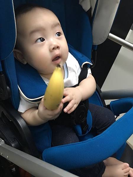 IMG_1781.jpg IMG_1781.jpg