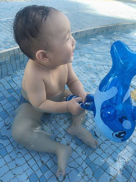 IMG_8584.JPG IMG_8584.JPG