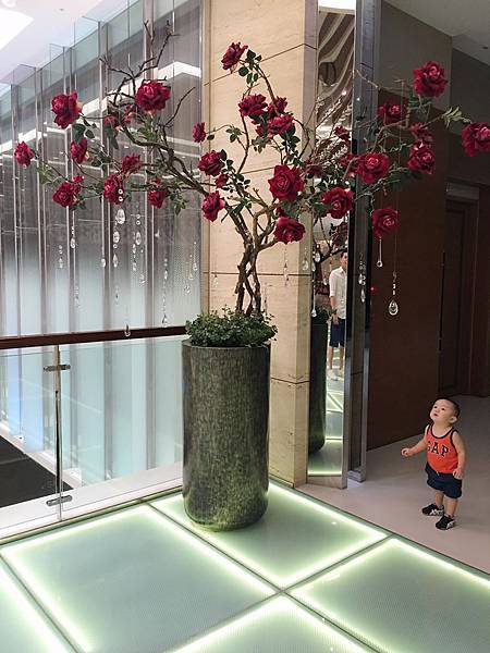 環島慶生!歐耶!_171202_0109.jpg 環島慶生!歐耶!_171202_0109.jpg