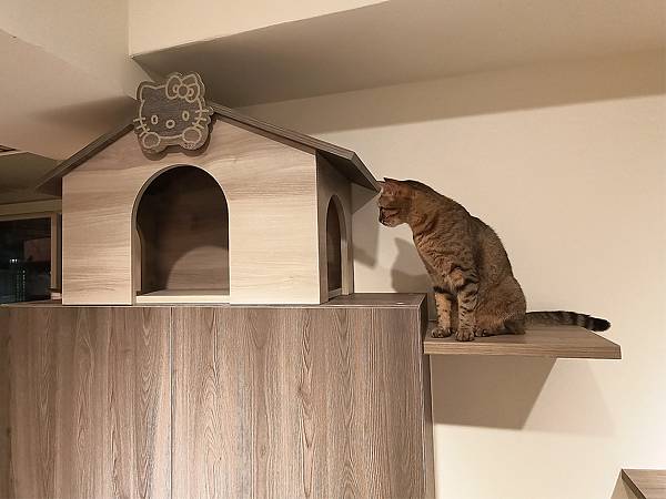 05 低頭看房子.jpg