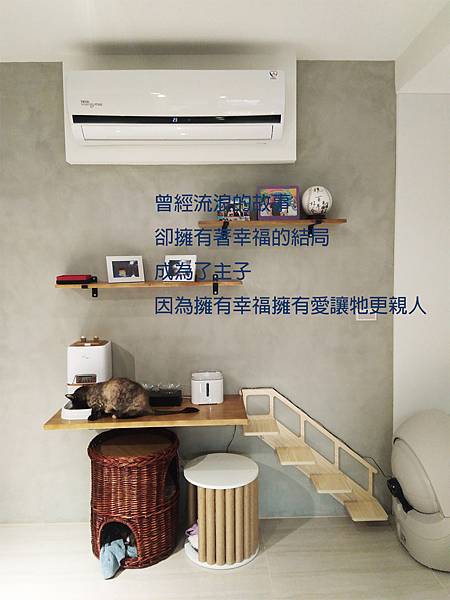 相信自己的選擇,忠於自己的喜愛,有個性,做自己