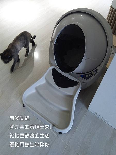 相信自己的選擇,忠於自己的喜愛,有個性,做自己