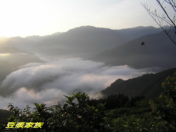 清晨5點半的雲海.jpg