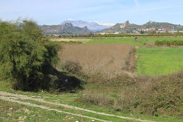 IMG_7207_調整大小