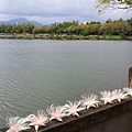 20131019_095105_調整大小.jpg