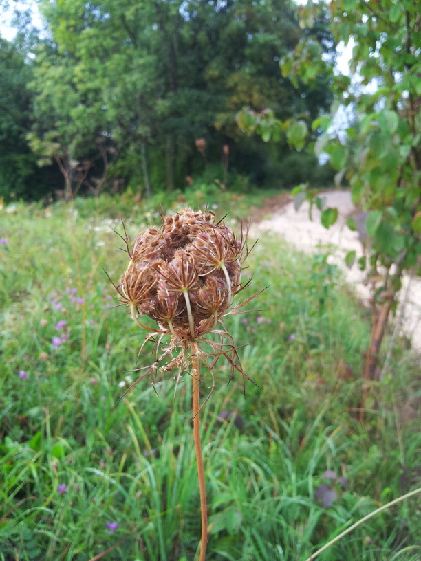 20130916_080403_調整大小.jpg