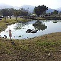 20131130_083532_調整大小.jpg