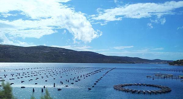 20130917_142954A_調整大小