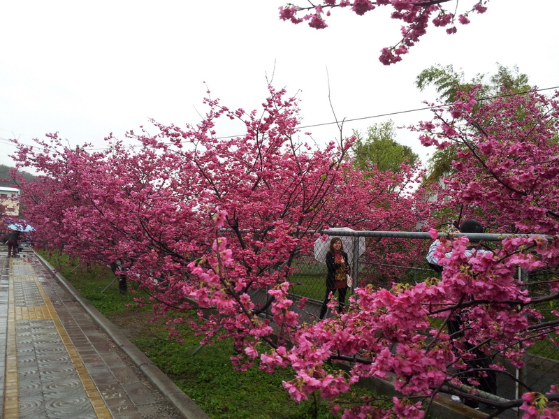 20140209_085744_調整大小.jpg