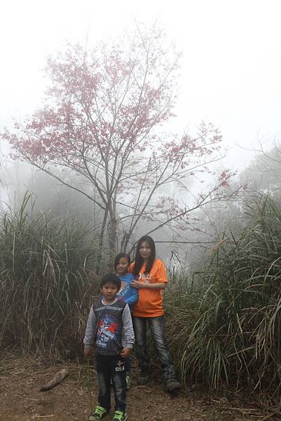 IMG_7611_調整大小.JPG