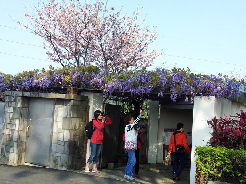 20140323_081557_調整大小.jpg