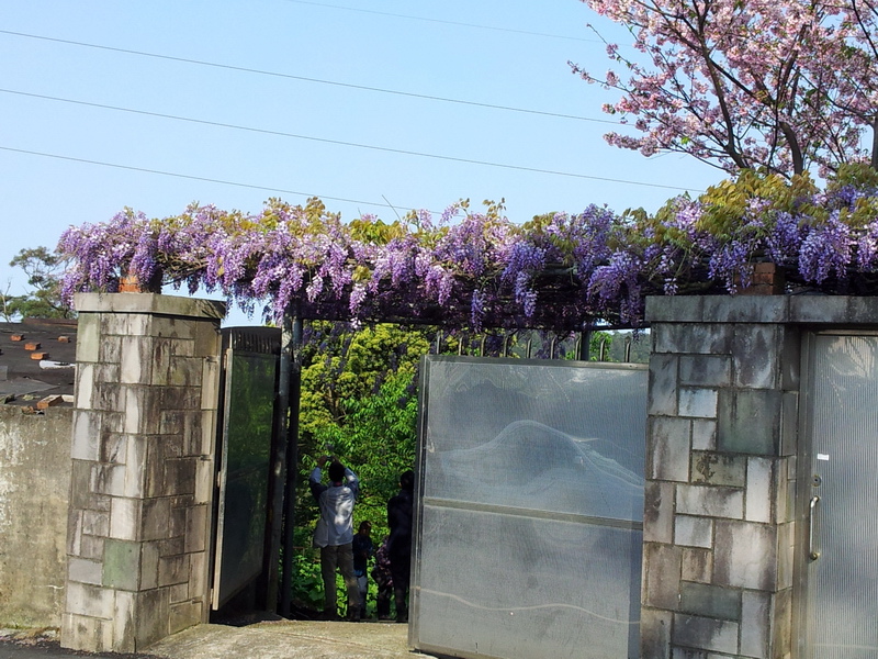 20140323_081623_調整大小.jpg