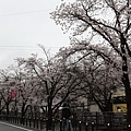 IMG_1095_調整大小.JPG