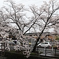 IMG_1049_調整大小.JPG