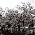 IMG_1045_調整大小.JPG