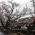 IMG_1038_調整大小.JPG