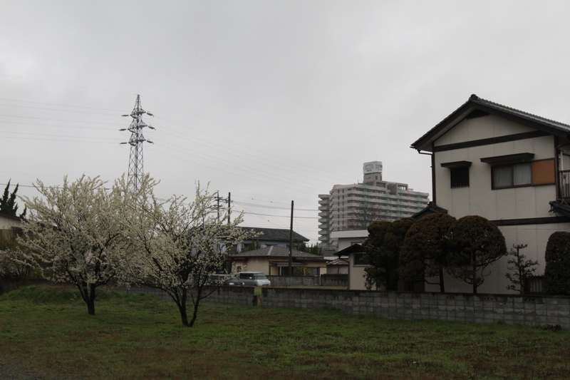 IMG_1028_調整大小.JPG