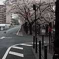 20140404_071229AA_調整大小