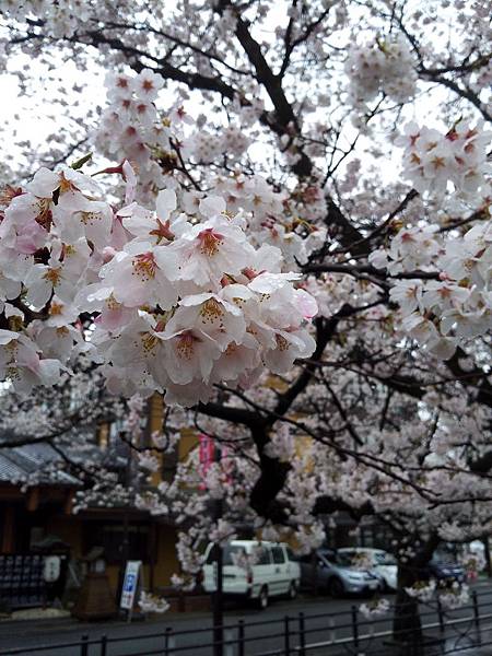 20140404_070937_調整大小