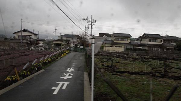 IMG_1156A_調整大小