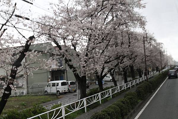 IMG_1151_調整大小