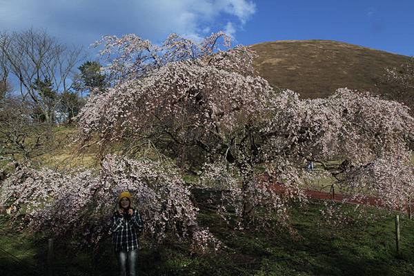 IMG_1995a_調整大小