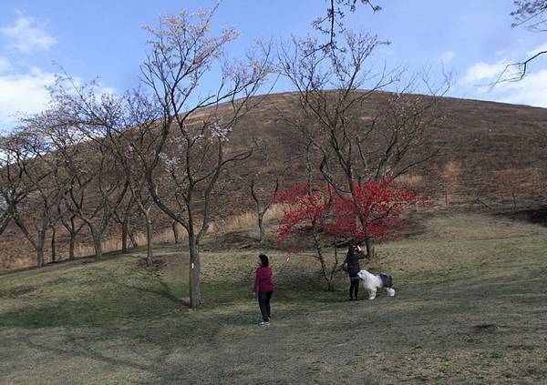 IMG_1951a_調整大小