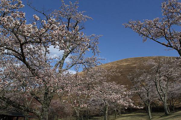 IMG_1968_調整大小