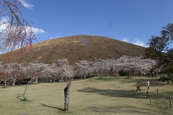 IMG_1963_調整大小