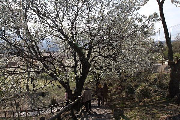 IMG_1910_調整大小