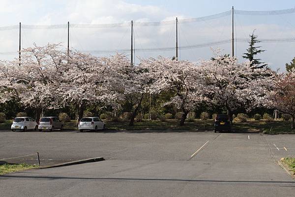 IMG_1899_調整大小