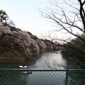 IMG_3092_調整大小.JPG