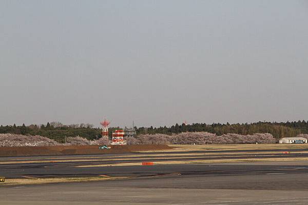 IMG_8818_調整大小