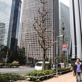 IMG_8714_調整大小.JPG