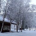 IMG_5494_調整大小.JPG