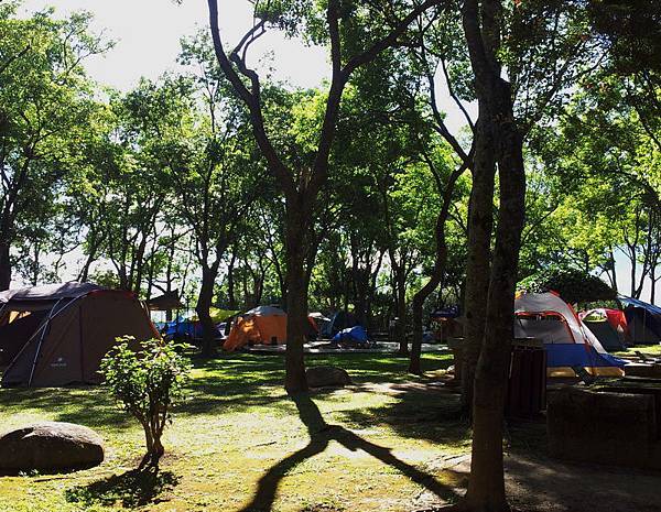 20140720_074658_調整大小