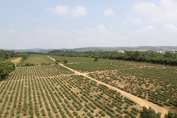 IMG_7997_調整大小